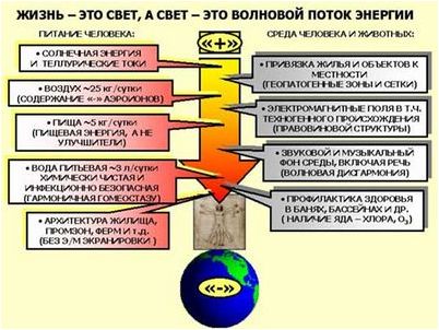 клетка клетка