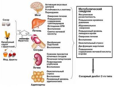 сироп сироп