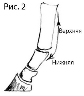 более