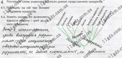 Исследование показывает, что люди с ЙДЗ, живущие в групповых домах, с большей вероятностью умрут от COVID-19